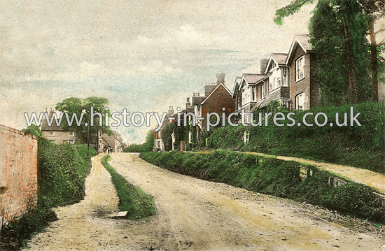 The Village looking East, Danbury, Essex. c.1904
